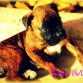Fotos con 1 mes y 9 dias